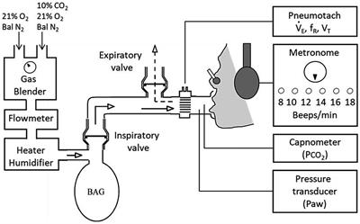 Blunted perception of breathlessness in three cases of low grade insular-glioma